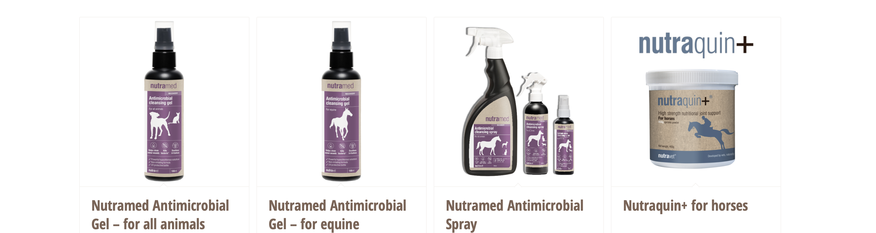 Herbal and Homeopathic Vet in North Wales & NW England